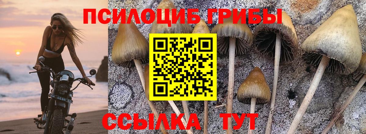 Псилоцибиновые грибы Cubensis  Псилоцибиновые грибы Magic Shrooms  Вход с VPN  Сокол 